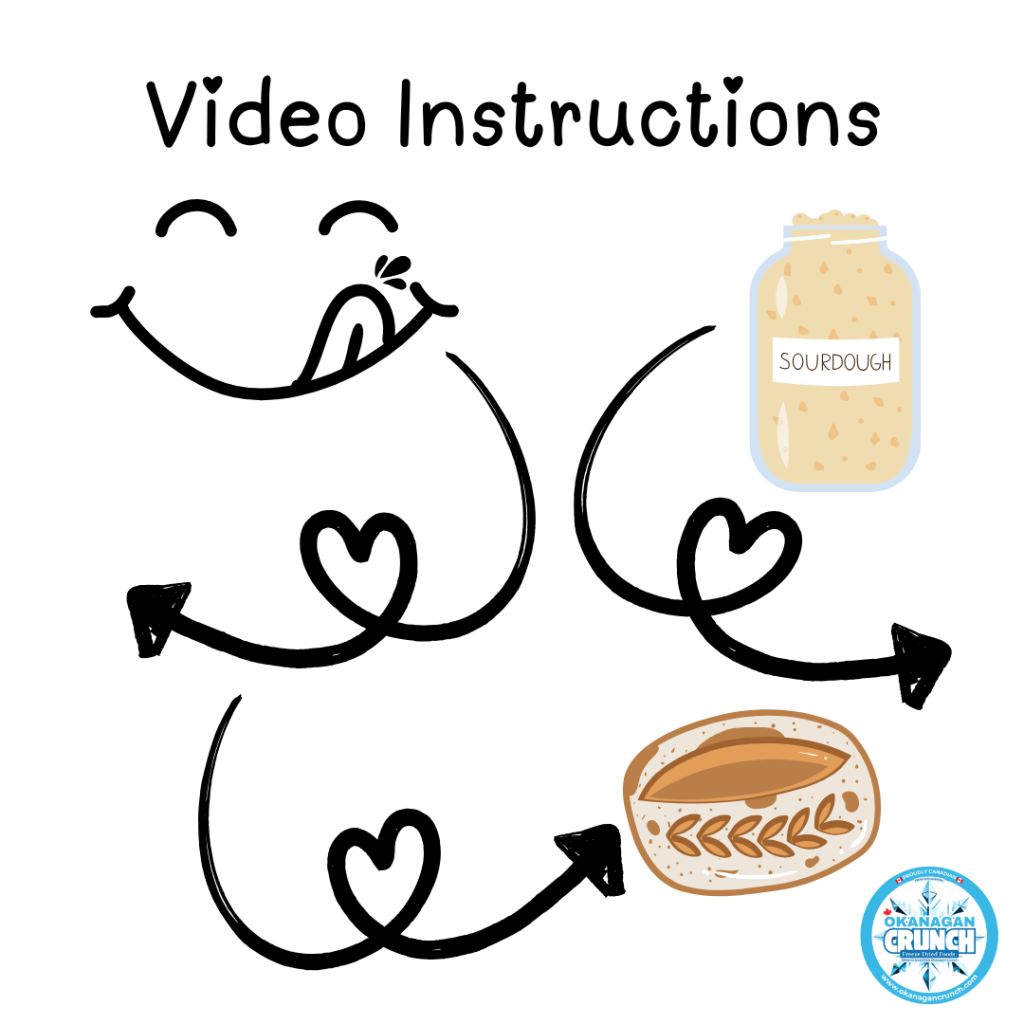 Freeze dried sourdough starter from start to finish